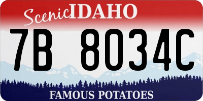ID license plate 7B8034C