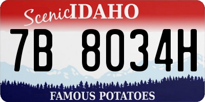 ID license plate 7B8034H