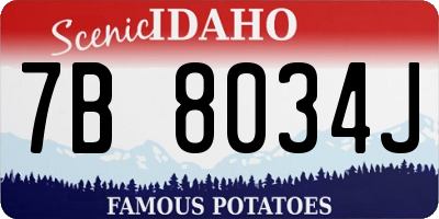ID license plate 7B8034J