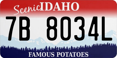 ID license plate 7B8034L