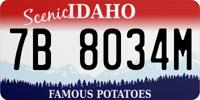 ID license plate 7B8034M
