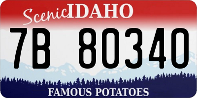 ID license plate 7B8034O