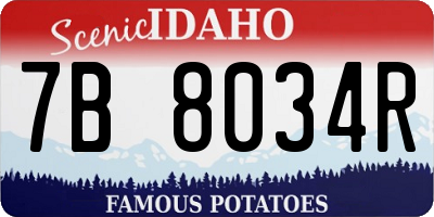 ID license plate 7B8034R
