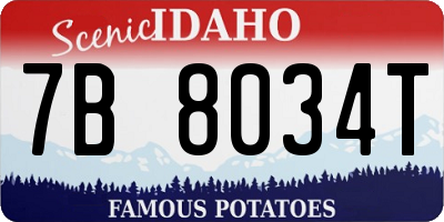 ID license plate 7B8034T