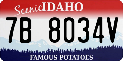 ID license plate 7B8034V
