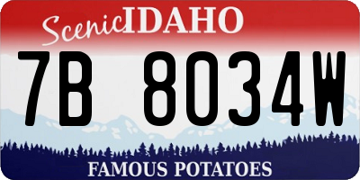 ID license plate 7B8034W