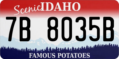 ID license plate 7B8035B