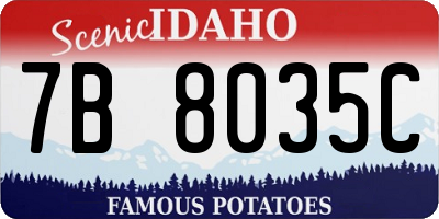 ID license plate 7B8035C
