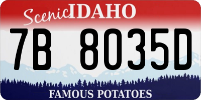 ID license plate 7B8035D