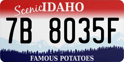 ID license plate 7B8035F