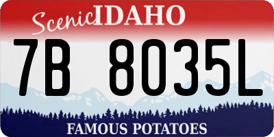 ID license plate 7B8035L