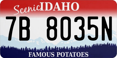 ID license plate 7B8035N