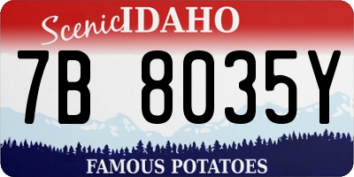 ID license plate 7B8035Y