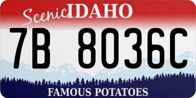 ID license plate 7B8036C