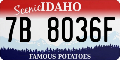 ID license plate 7B8036F