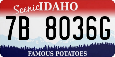 ID license plate 7B8036G