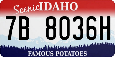 ID license plate 7B8036H