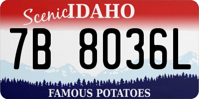 ID license plate 7B8036L
