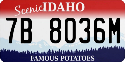 ID license plate 7B8036M