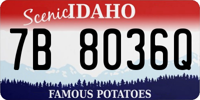 ID license plate 7B8036Q