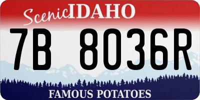 ID license plate 7B8036R