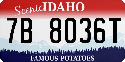 ID license plate 7B8036T