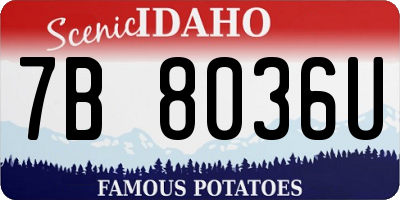 ID license plate 7B8036U