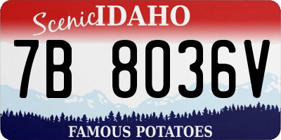 ID license plate 7B8036V