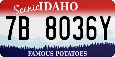 ID license plate 7B8036Y