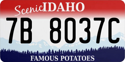 ID license plate 7B8037C