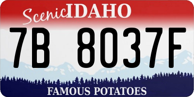ID license plate 7B8037F