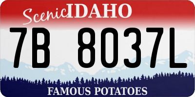 ID license plate 7B8037L