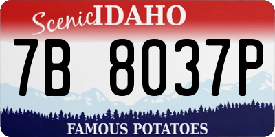 ID license plate 7B8037P