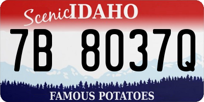 ID license plate 7B8037Q