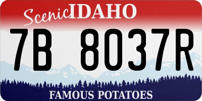 ID license plate 7B8037R