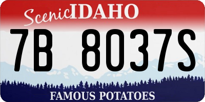 ID license plate 7B8037S