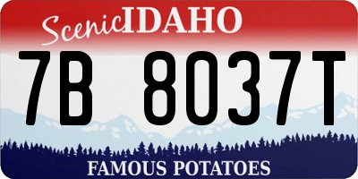 ID license plate 7B8037T