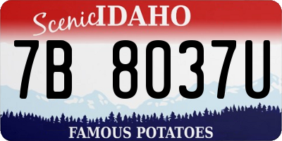 ID license plate 7B8037U