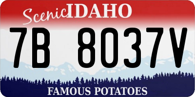 ID license plate 7B8037V