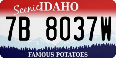 ID license plate 7B8037W