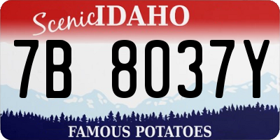 ID license plate 7B8037Y