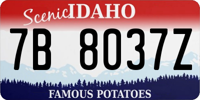 ID license plate 7B8037Z