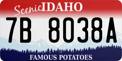ID license plate 7B8038A