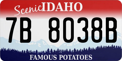 ID license plate 7B8038B