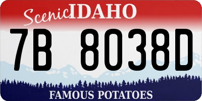 ID license plate 7B8038D