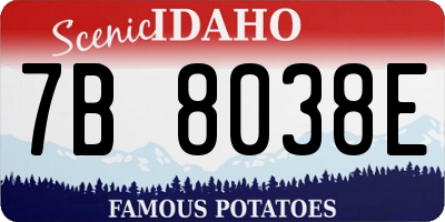 ID license plate 7B8038E