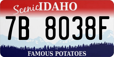 ID license plate 7B8038F