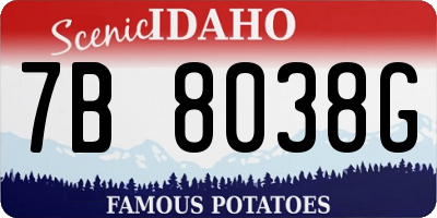 ID license plate 7B8038G
