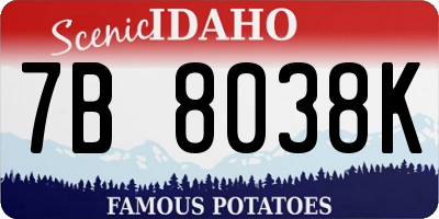 ID license plate 7B8038K