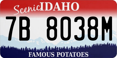 ID license plate 7B8038M